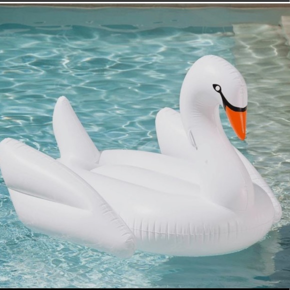 Other - Swan 🦢 floatie